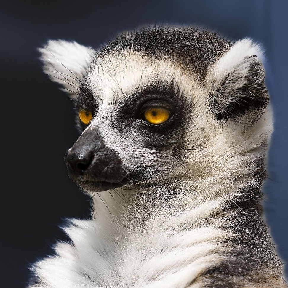 Иконка канала HhhhhhelgàaaАaaaАААaаa WWWWWWWWWWWWWWWWWWWWWWWWWWW