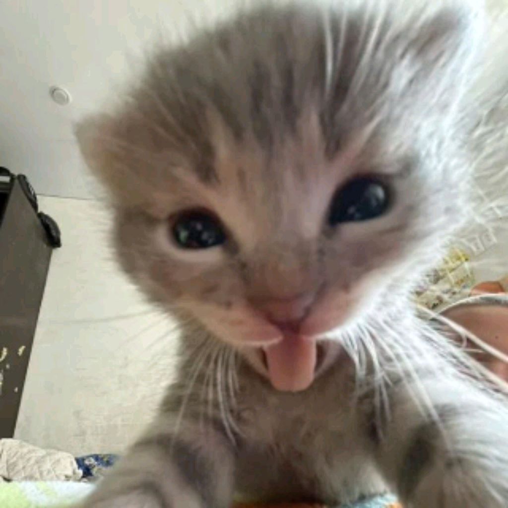 Иконка канала Мисс Кроха🙈❤️