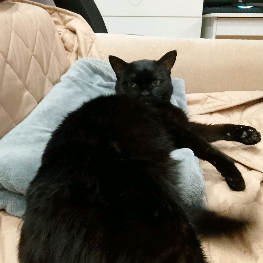 Иконка канала Нюся