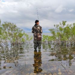 Иконка канала Для Всех!