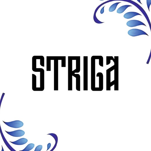 Иконка канала STRIGA TV