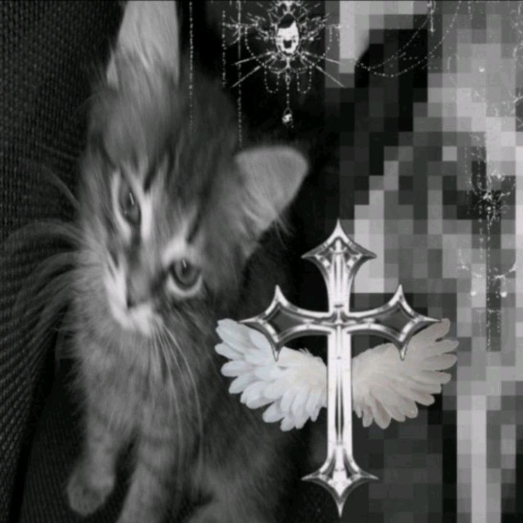 Иконка канала Мои Реки с ТТ и с Лк