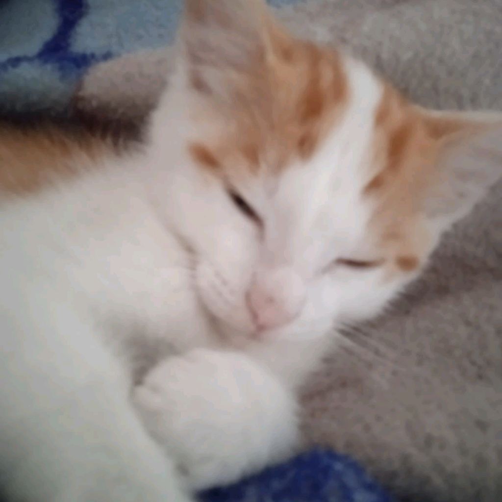 Иконка канала Bogdan Богдан