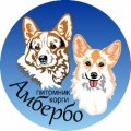 Иконка канала Питомник Амбербо Вельш Корги Пемброк