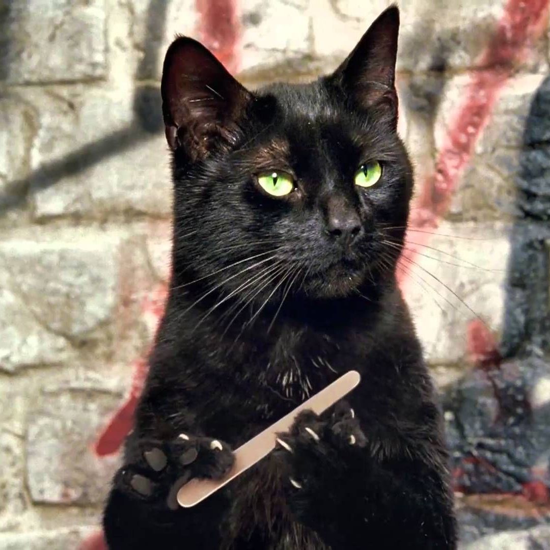 Иконка канала Angel`s_Nails