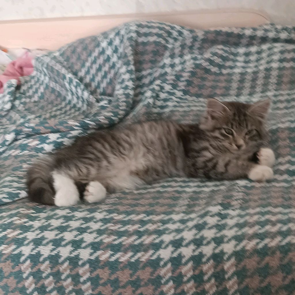 Иконка канала channel72176206