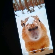 Иконка канала Облепиха