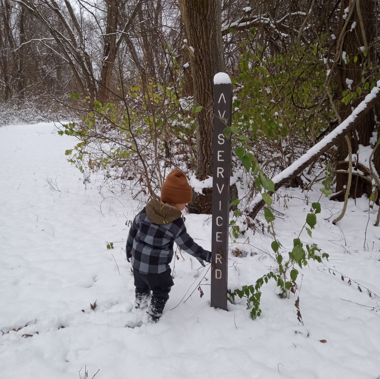 Иконка канала Лунный Волк