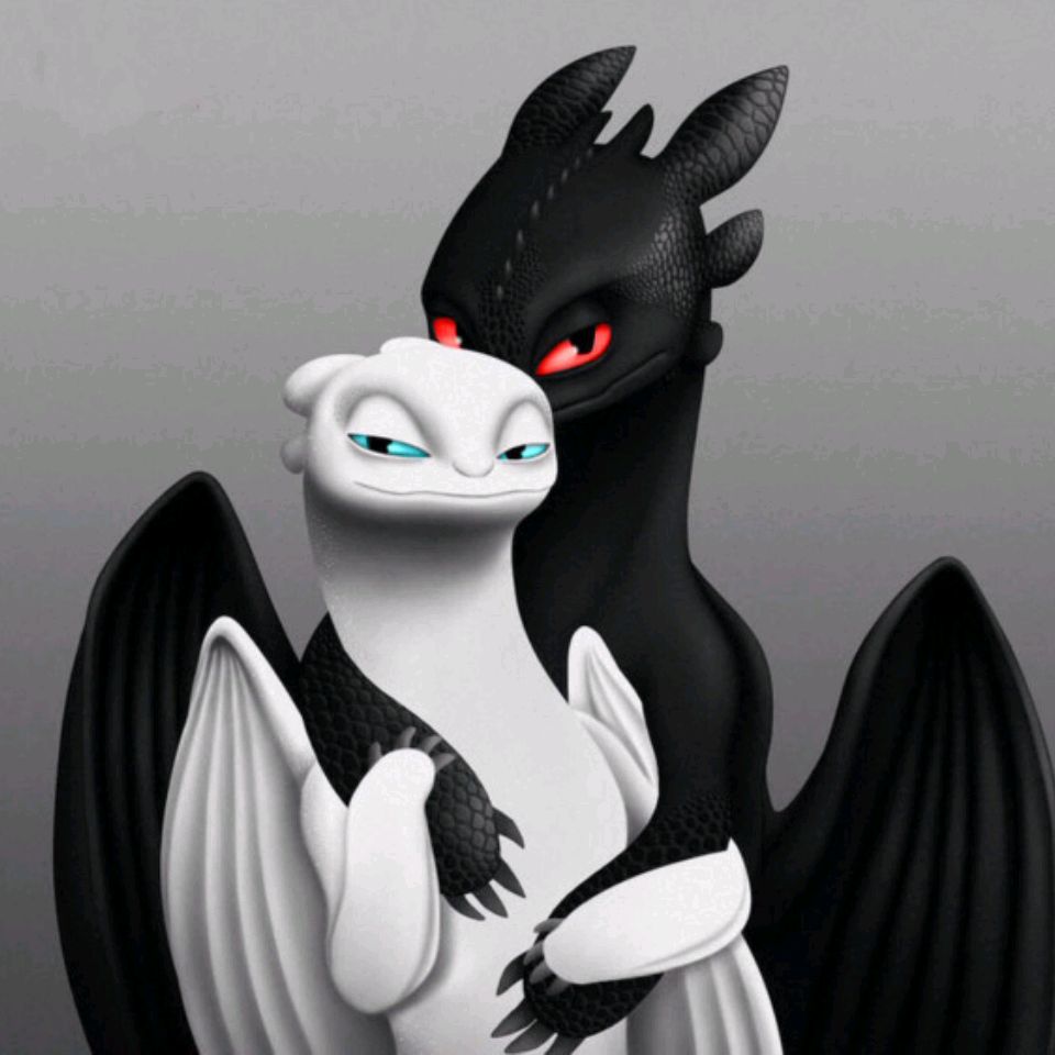 Иконка канала Night Fury and Light Fury