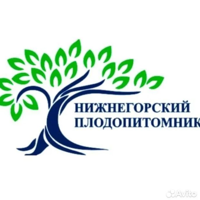 Иконка канала Нижнегорский Плодопитомник