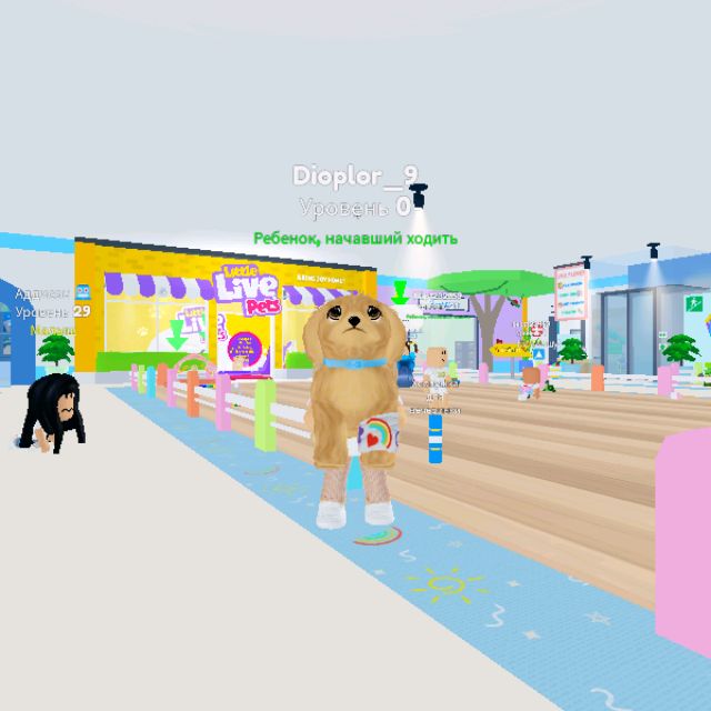 Иконка канала Diana Loopa