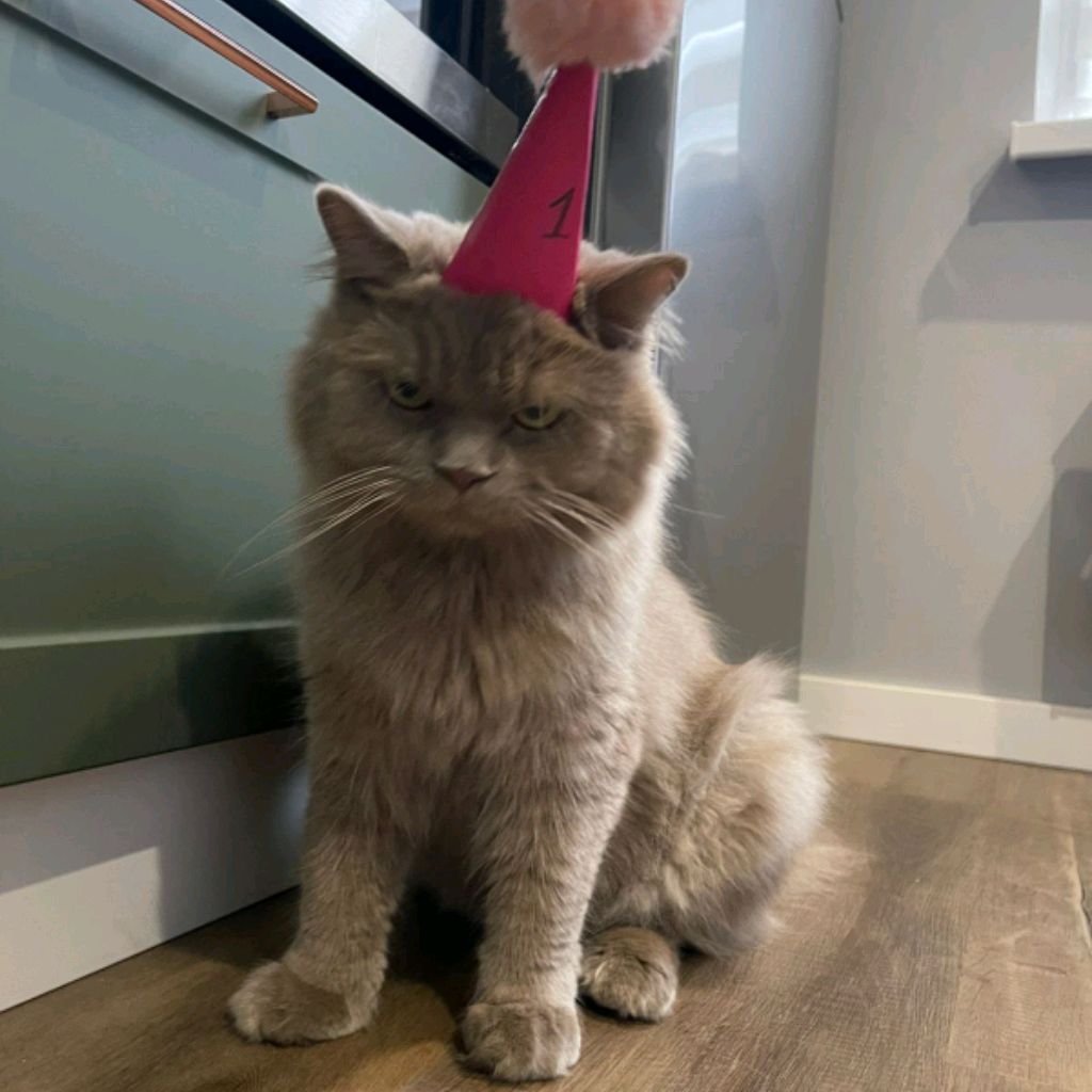 Иконка канала No ROBLOX Василиса