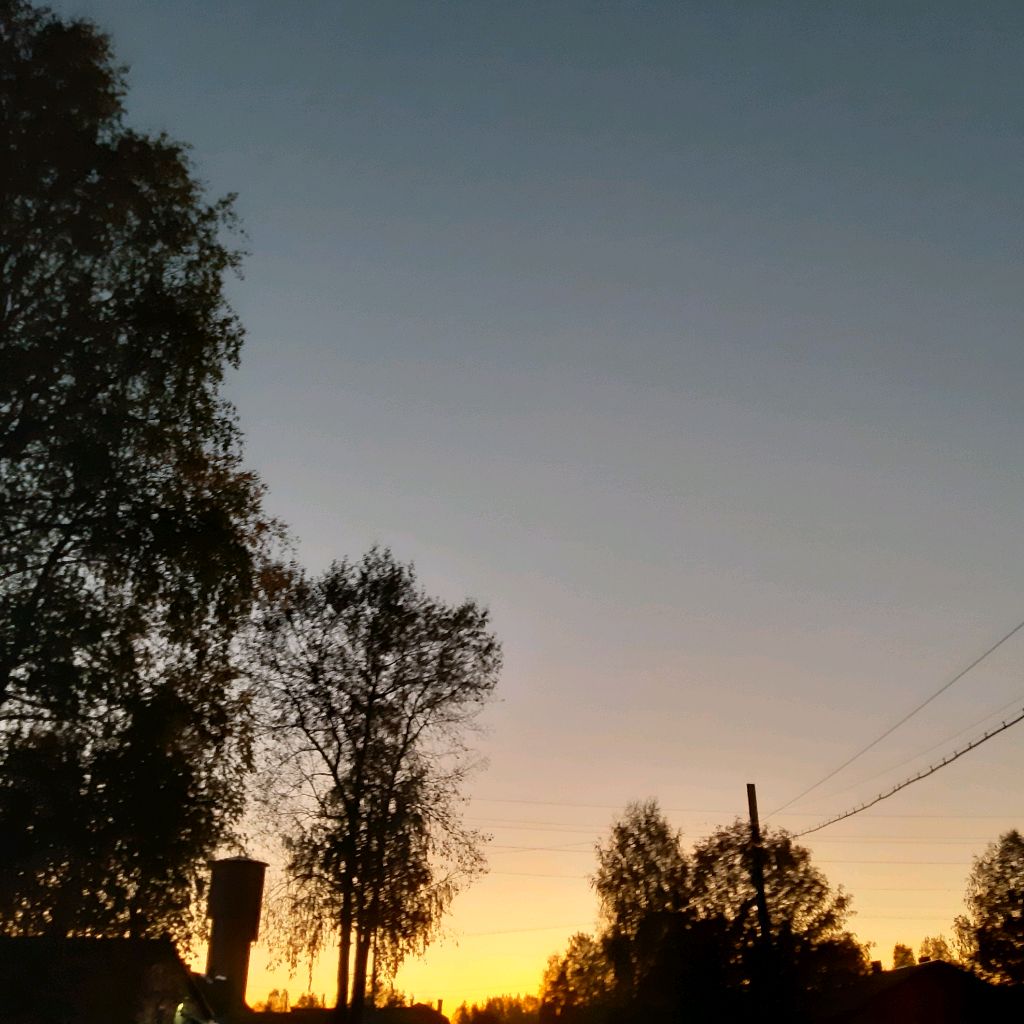 Иконка канала 🍊Мандаринка🍊