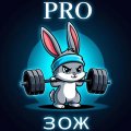 Иконка канала PRO ЗОЖ