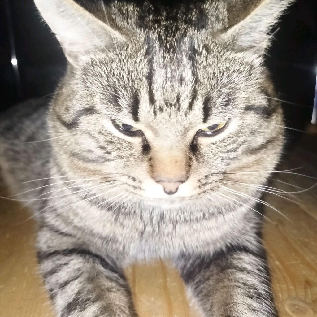 Иконка канала Lesenok888