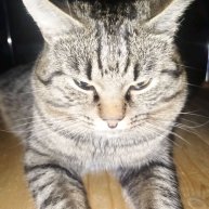 Иконка канала Lesenok888