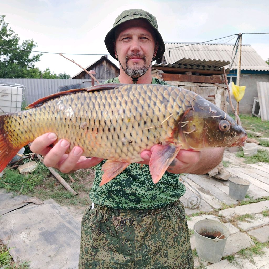 Иконка канала Gribolov