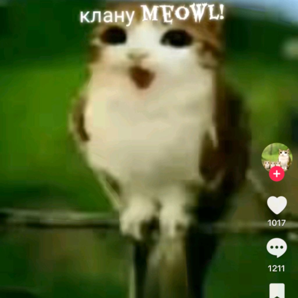 Иконка канала ромик500k