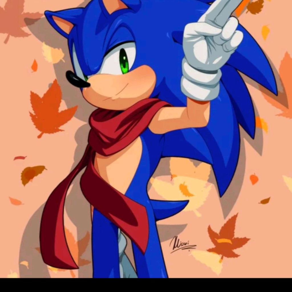 Иконка канала Sonic&kisik_games