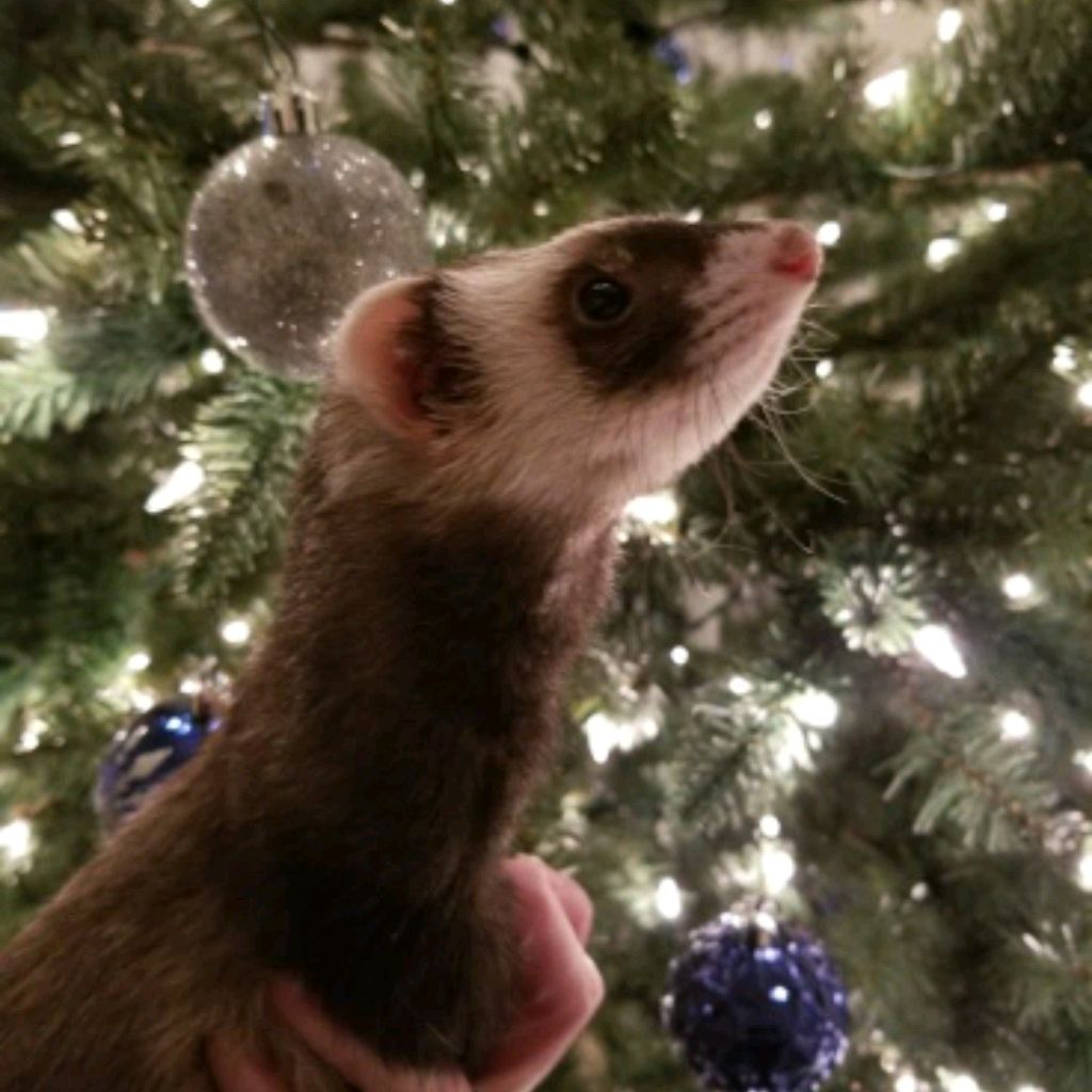 Иконка канала Просто Джей🌬️❄️