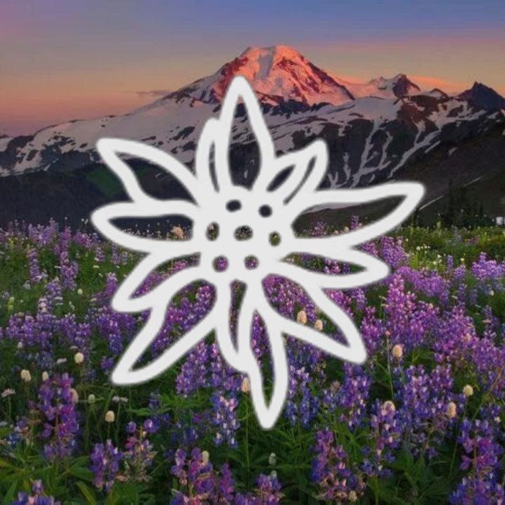 Иконка канала Эдельвейс TV