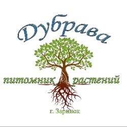 Иконка канала Питомник растений Дубрава