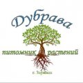 Иконка канала Питомник растений Дубрава