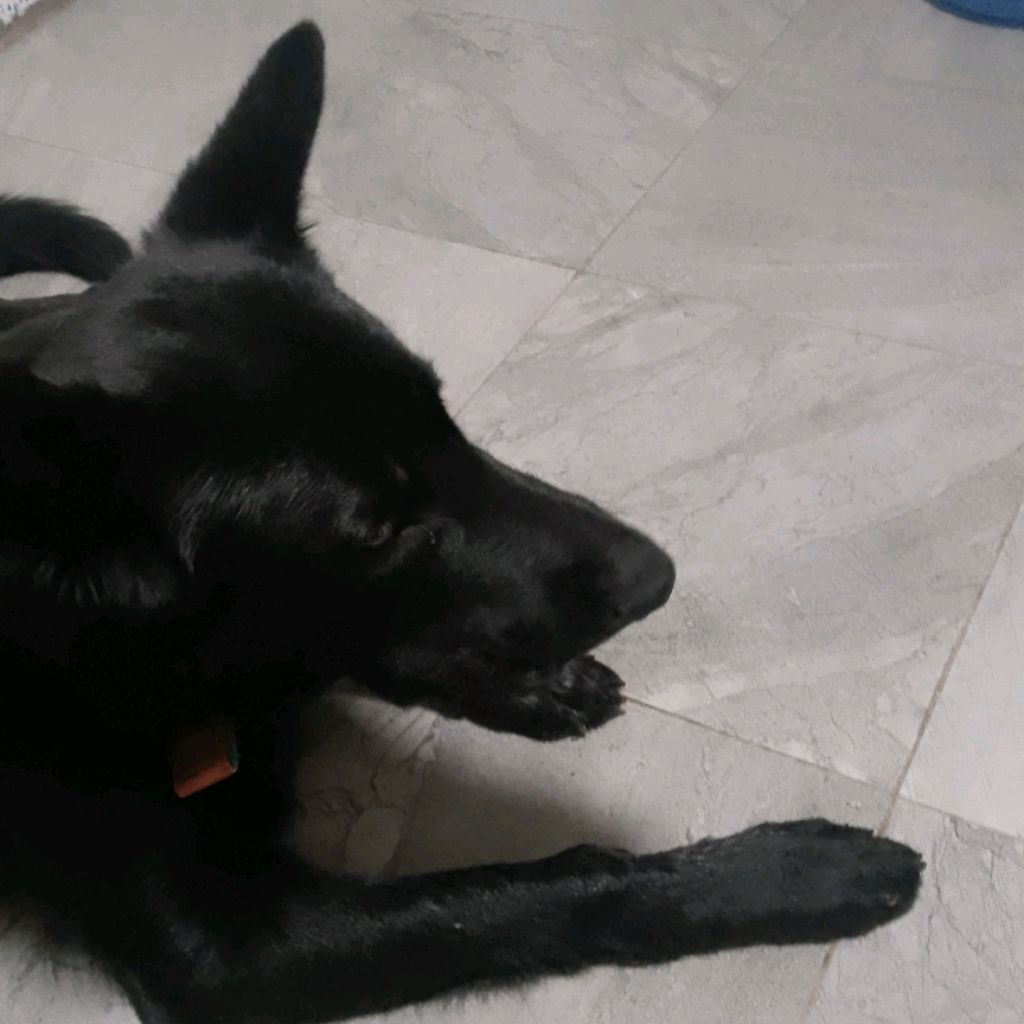 Иконка канала Гонза Восточный Дыммммм