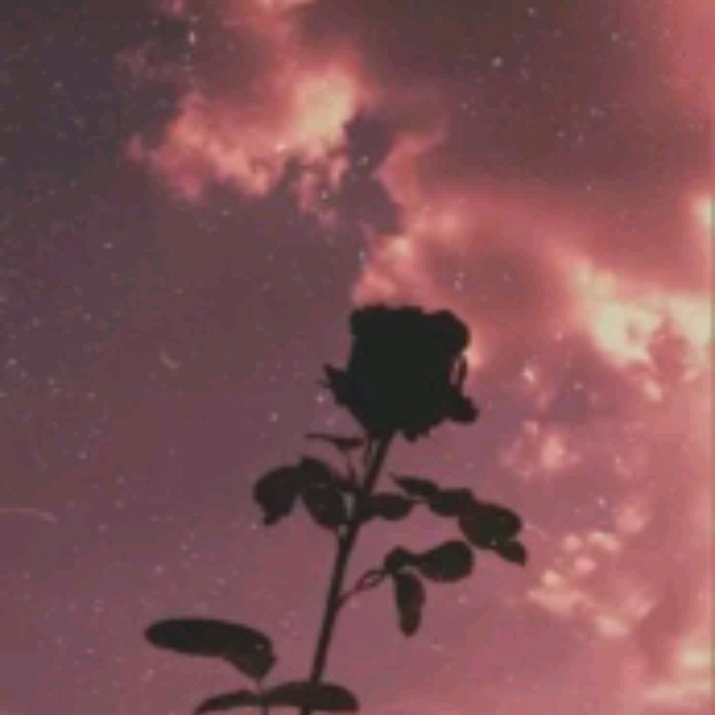 Иконка канала channel71336340