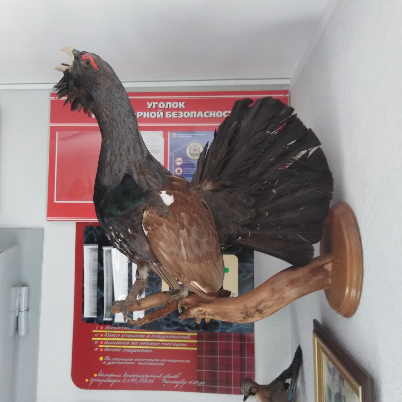 Иконка канала Мои наблюдения.