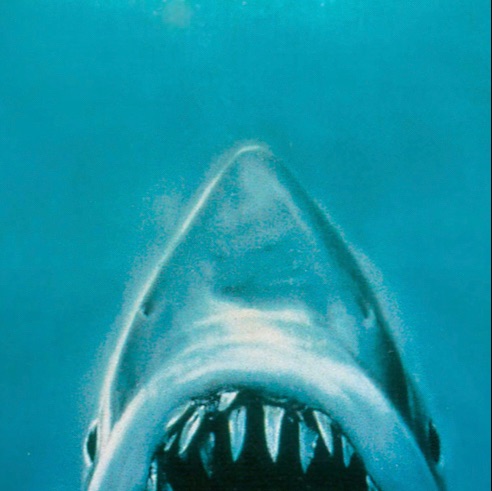 Иконка канала Акула  pro zer