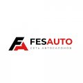 Иконка канала FESAUTO