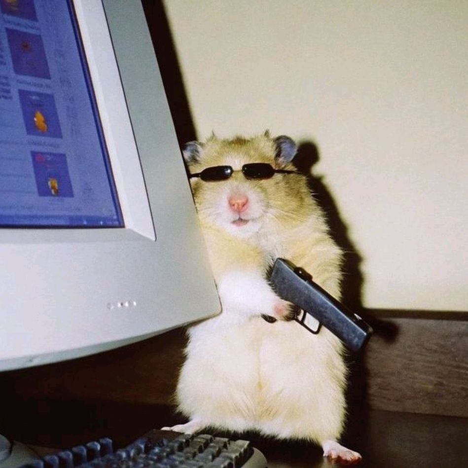 Иконка канала Справочник