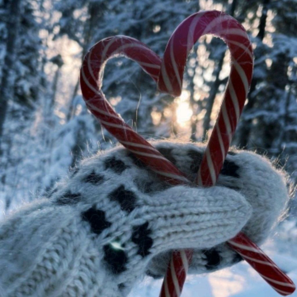 Иконка канала Елена Стор_44344