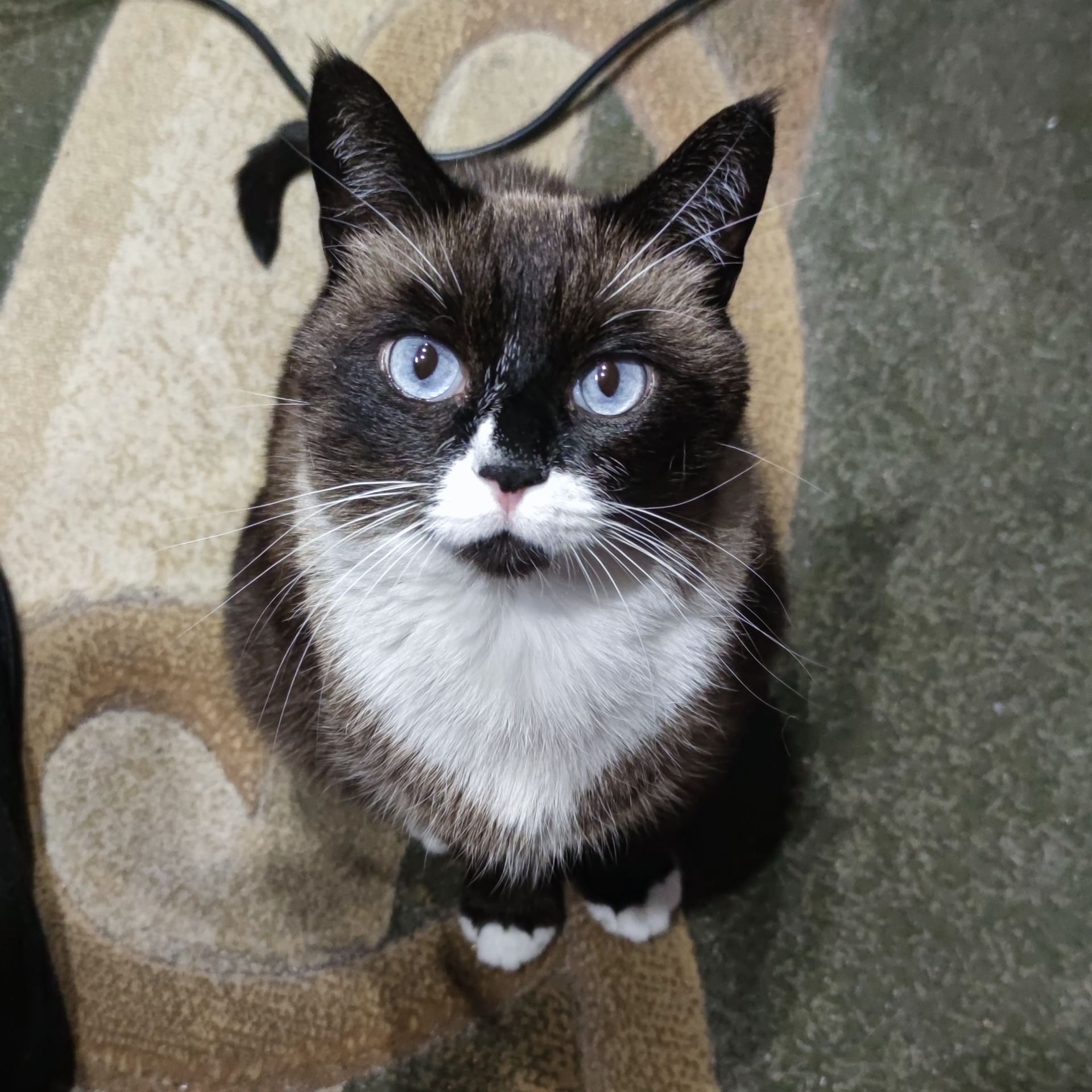 Иконка канала Б@рм@лей