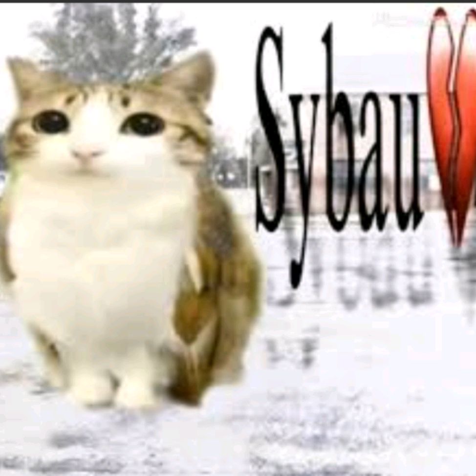 Иконка канала Meowl 2016