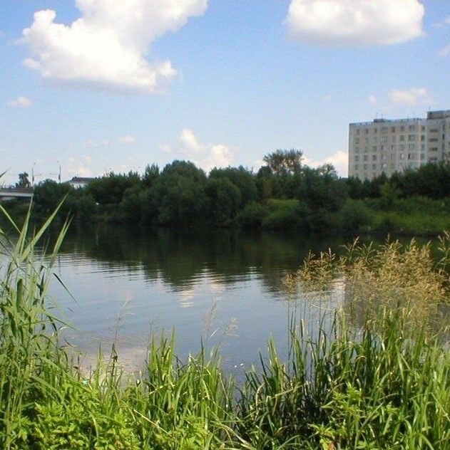 Иконка канала Природа и культура