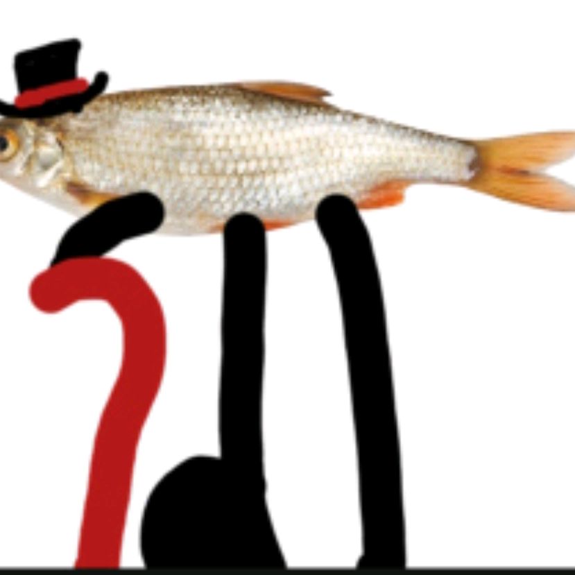 Иконка канала Мистер Фиш🐟 (Гусь) ;( :(