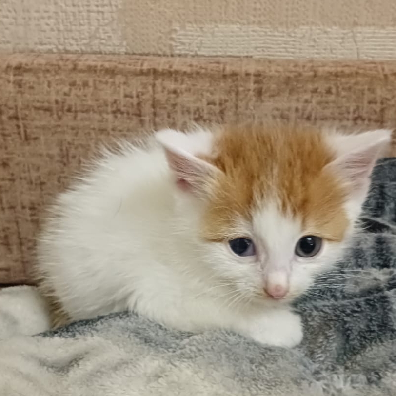 Иконка канала channel73005180