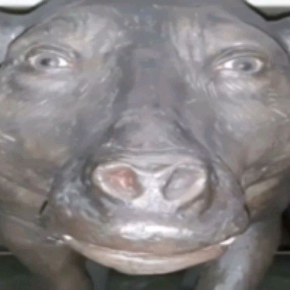 Иконка канала LEXA_777fff