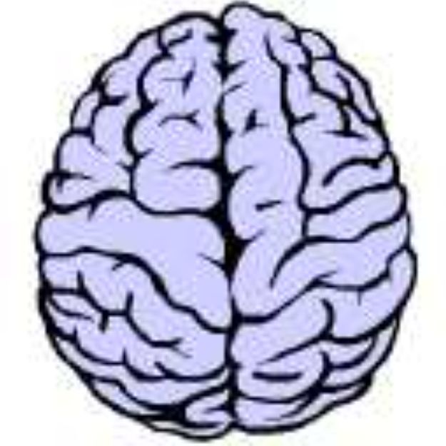 Иконка канала Tredstone