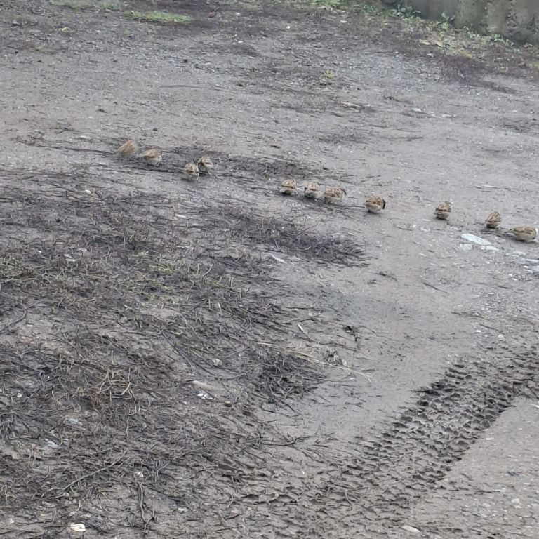 Иконка канала Лёня И Вдадус Перезаливы