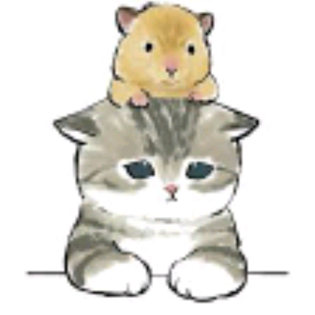 Иконка канала Кошка 24 Мяу