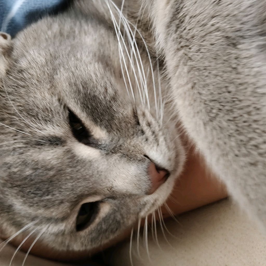 Иконка канала Casha