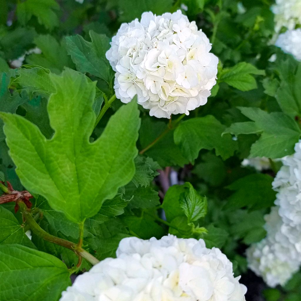 Иконка канала channel72844017