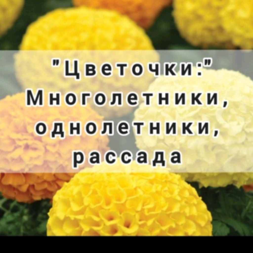 Иконка канала "Цветочки"