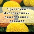 Иконка канала "Цветочки"