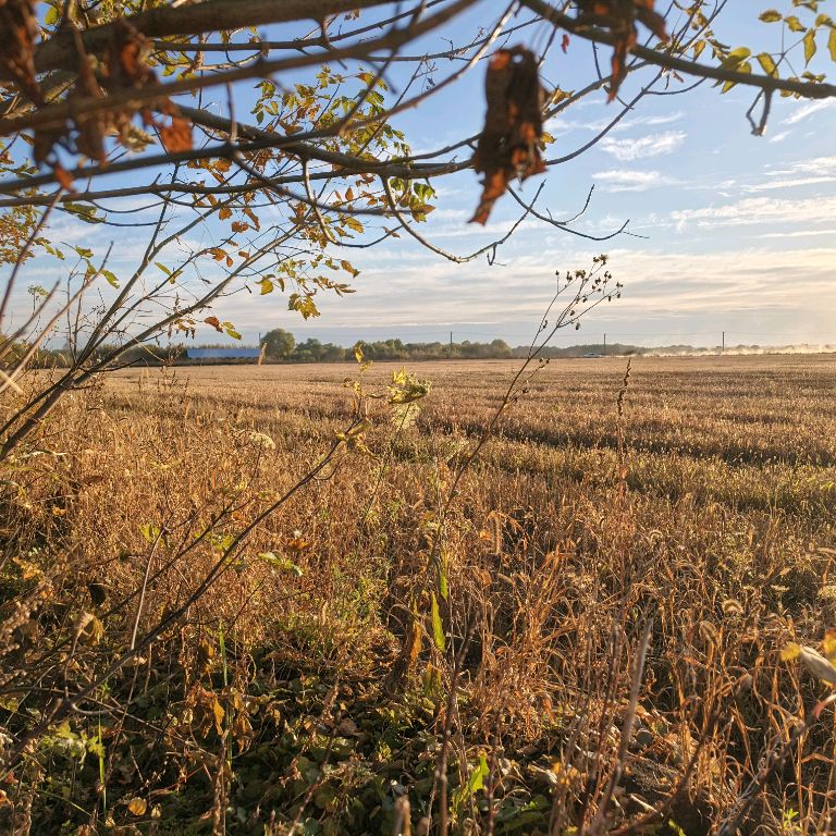 Иконка канала Maykovskii