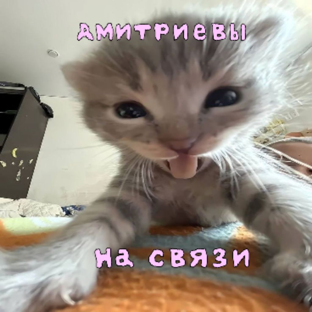 Иконка канала Dmitrievi_na_svazi