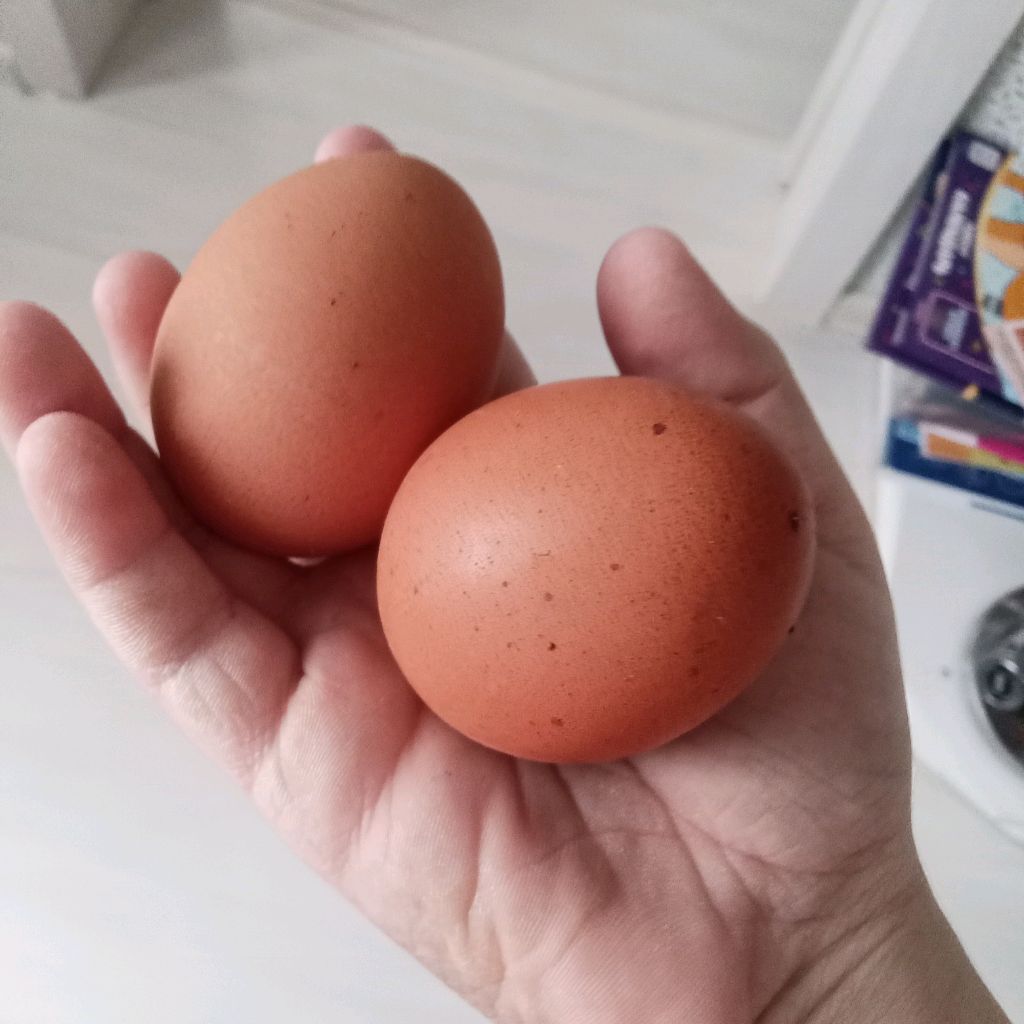 Иконка канала Artemi